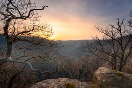 Blick ins Bodetal von Steffen Henze