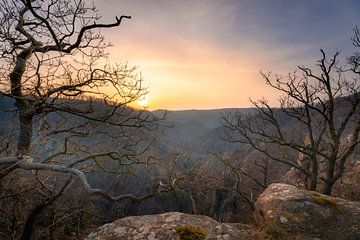 View of the Bode Valley by Steffen Henze