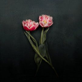 Last dance by Dorothea van der Staaij