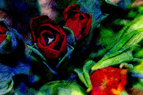 ABSTRAIT : FLORE - TULIPES EN FLEURS
