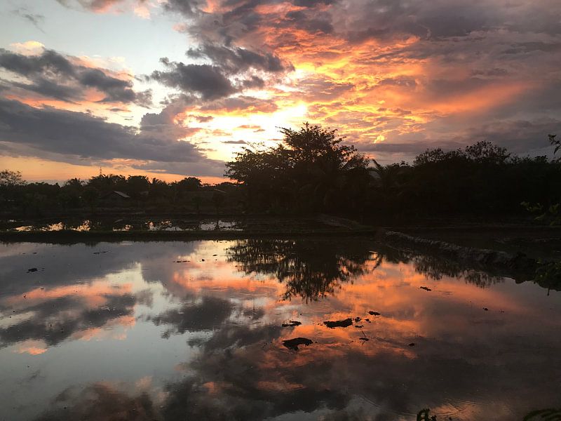 Reflexionsluft im Wasser von stephanie van gent