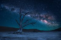 Dead Tree and Milky Way
