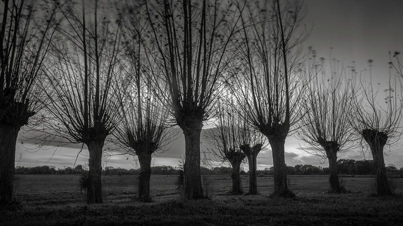 Around Teteringen by Patrick Rosenthal