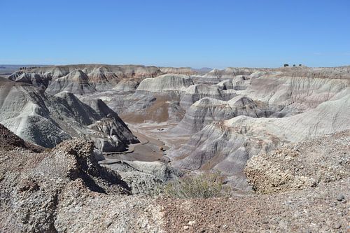 Zicht op Painted Dessert, Arizona