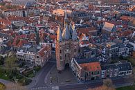 Sassenpoort Zwolle van Thomas Bartelds thumbnail
