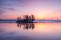 Sonnenaufgang Kralingse Plas