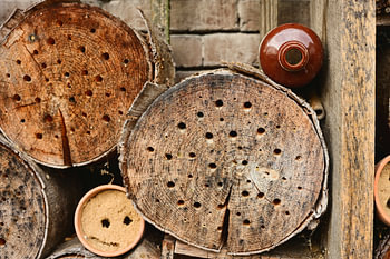Hôtel à abeilles en bois