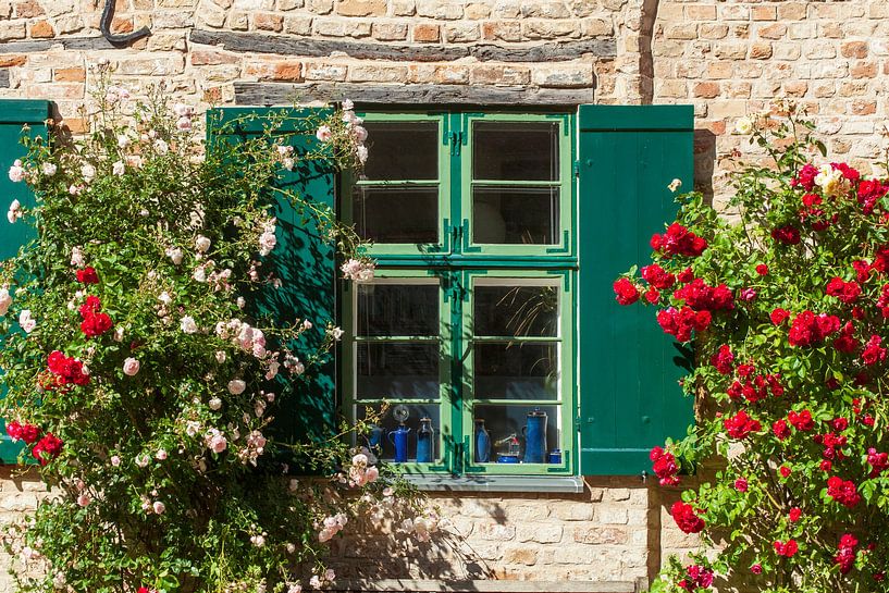 Altes Fenster mit Sommerblumen an einer Historischen Hausfassade Bei der Nikolaikirche, Rostock, Mec von Torsten Krüger