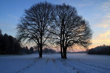 Winter von Marcel van Rijn