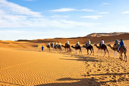 Kamelen karavaan door de zandduinen van de Sahara desert
