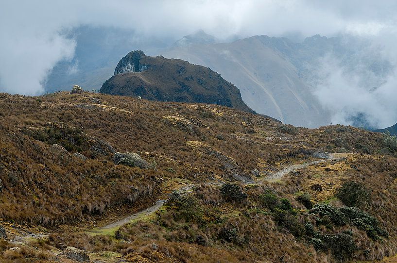 Ecuador: El Cajas National Park (Azuay) van Maarten Verhees