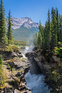 Athabasca-Wasserfall von Eline Huizenga