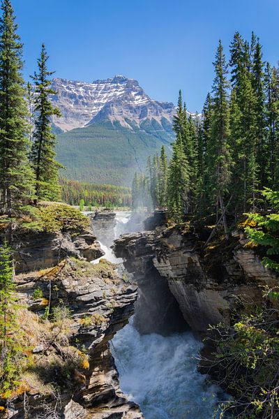 Athabasca waterfall by Eline Huizenga