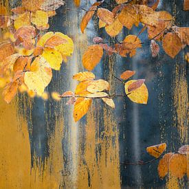 Art avec des feuilles jaunes pittoresques sur Rob Visser
