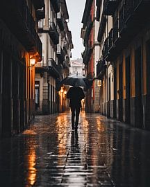 Rain in the city