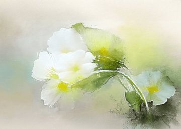 Dromerig schilderij van een Witte Sleutelbloem van Studio Pieternel