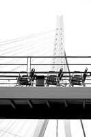 Erasmusbrug Rotterdam