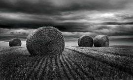 Straw bales – Northern France