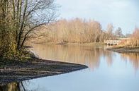 Reflecties in de Ossenwaard van Frans Blok thumbnail