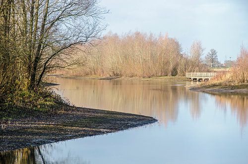 Floodplain reflections