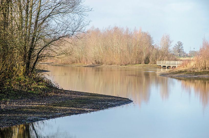 Reflectionen im  Außendeichsland von Frans Blok