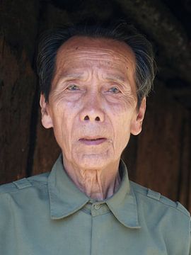 Der weise vietnamesische Mann. von Marleen Berendse