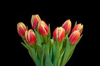 Tulpen uit Amsterdam van Toon van den Einde thumbnail