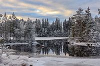 Natuurgebied Offersjön in Boteå Västernorrland Zweden