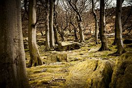 Une rencontre particulière. sur anne droogsma