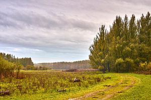 Klassisch zerklüftete Herbstlandschaft