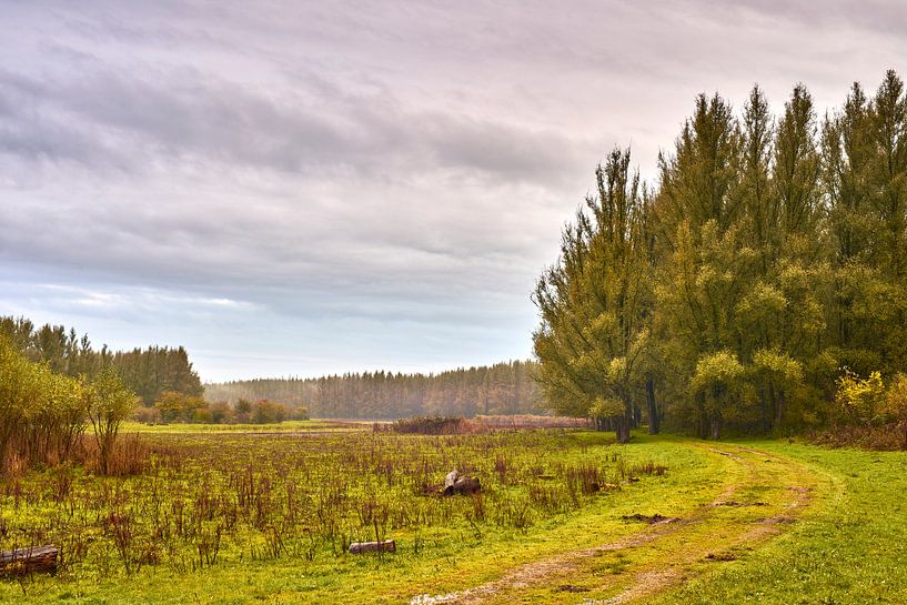 Klassisch zerklüftete Herbstlandschaft von Jenco van Zalk