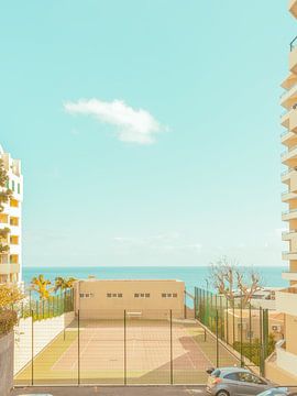 court von Michael Schulz-Dostal