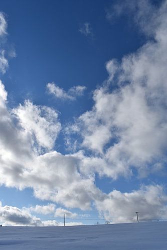 Een koude februaridag