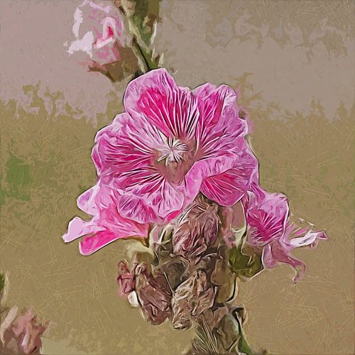 Pretty in pink (flower)