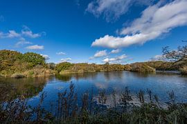 The beautiful dune area Meijendel near Wassenaar. by Jaap van den Berg