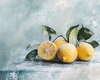 Citrons givrés