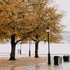 Stockholm in de herfst van sonja koning