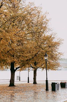 Stockholm en automne
