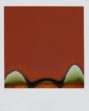Polaroid Fail Number Two by Grain or Noise