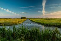 Polder landscape