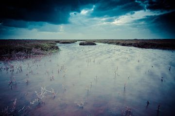 Stromend water door Nederlands landschap van Dirk Keij-Bron