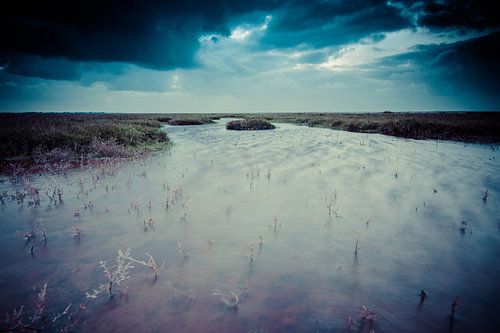 Stromend water door Nederlands landschap