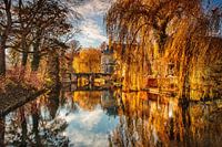Golden autumn at Wijlre Castle