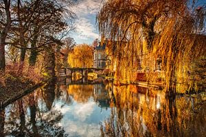 Goldener Herbst auf Schloss Wijlre
