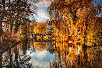 Goldener Herbst auf Schloss Wijlre von Rob Boon