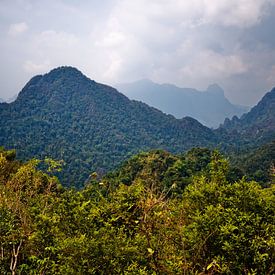 Ländliche Landschaft zwischen Bergen und dichter Vegetation von Frank Photos