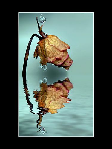 "wat eens was" van Henk Egbertzen