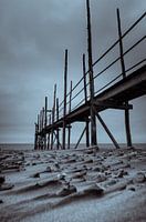 Texel 19