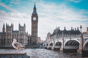 Big Ben, London in Schwarz-Weiß mit Farbpop von Daphne Groeneveld