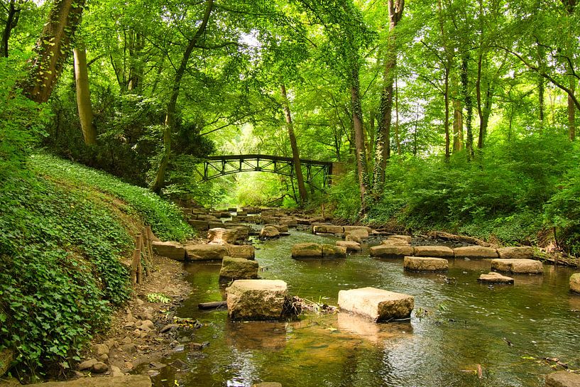 Bos indrukken van Tanja Voigt